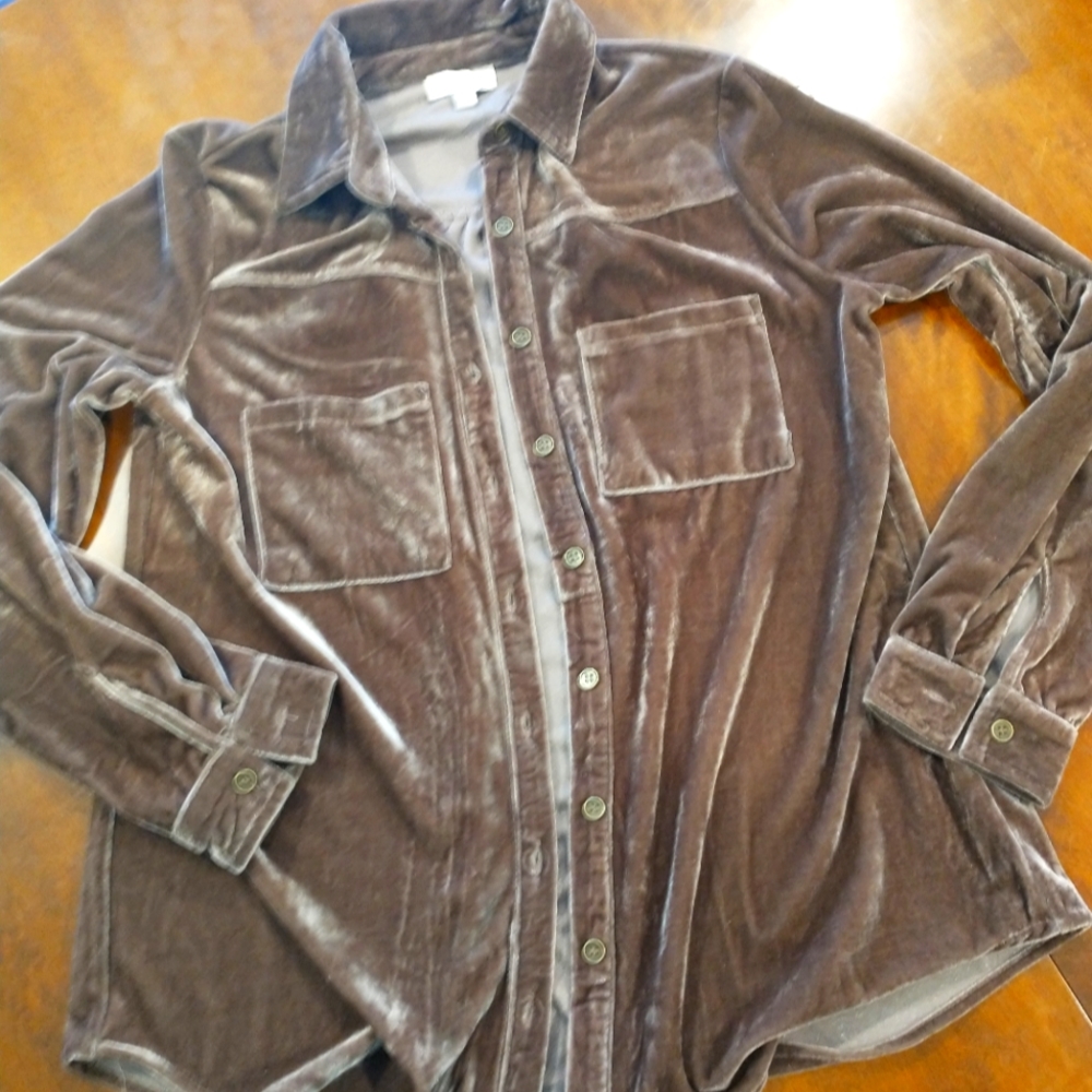 Velvet button-down blouse